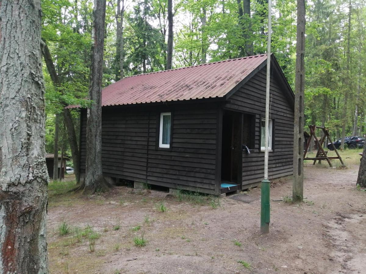 Вилла Nova Mazury Швента-Липка Экстерьер фото